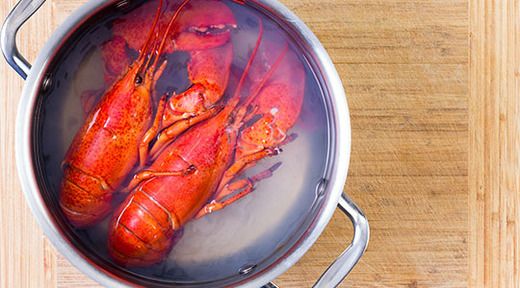 Comment faire cuire un homard entier
