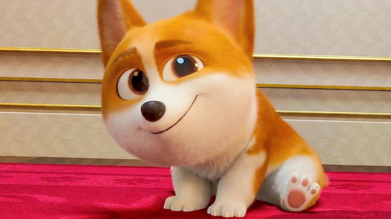 रानी's Corgi (2019)